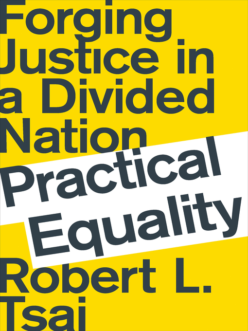 Title details for Practical Equality by Robert Tsai - Wait list
